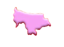 Mymensingh Division Map