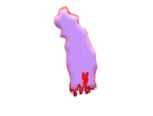 খুলনা বিভাগ